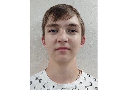 Плесовских Дмитрий Денисович