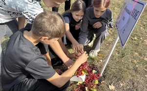 «Тайны озера Власово»: как Сладковский округ превратился в зону приключений!